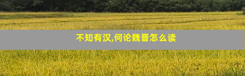 不知有汉,何论魏晋怎么读