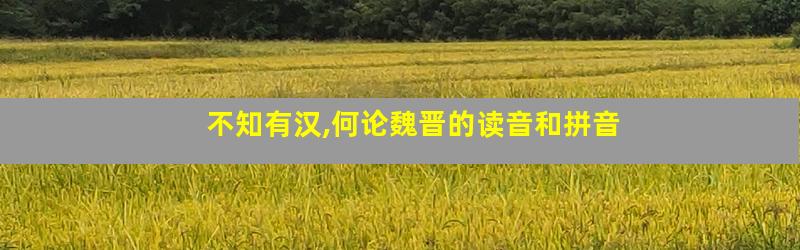 不知有汉,何论魏晋的读音和拼音