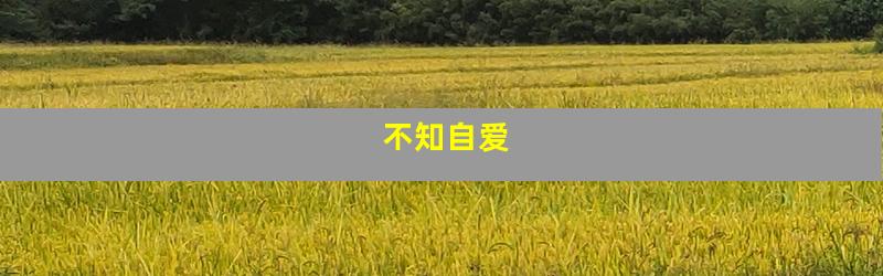不知自爱