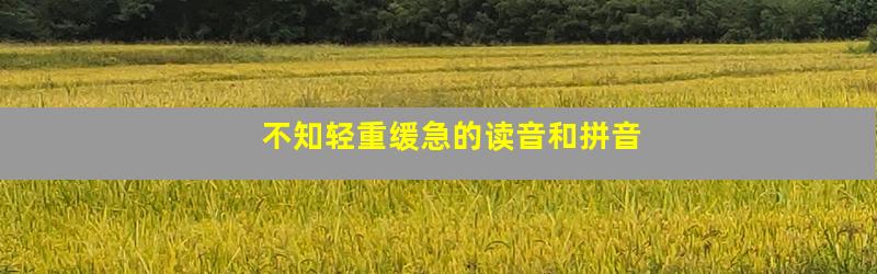 不知轻重缓急的读音和拼音