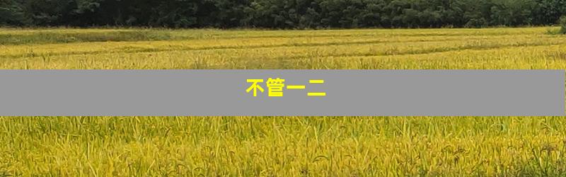 不管一二