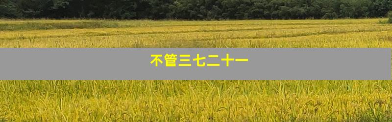 不管三七二十一