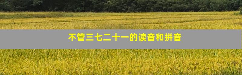 不管三七二十一的读音和拼音