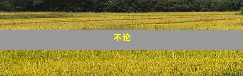 不论