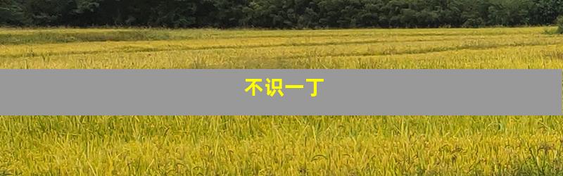 不识一丁