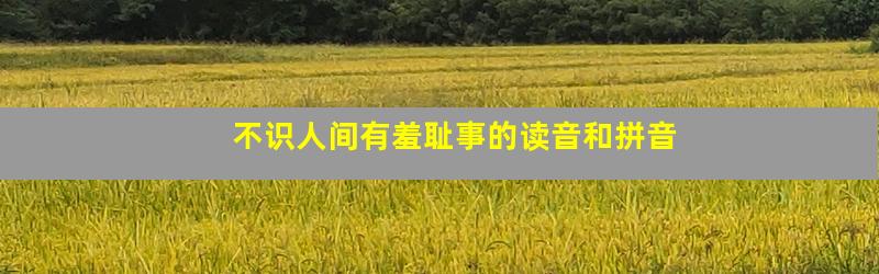 不识人间有羞耻事的读音和拼音