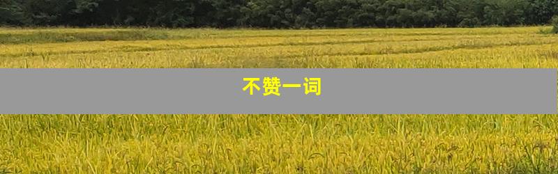 不赞一词