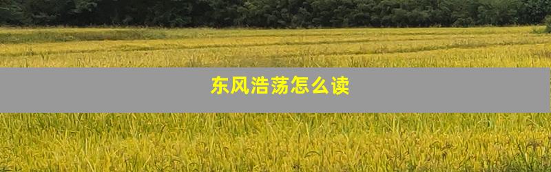 东风浩荡怎么读