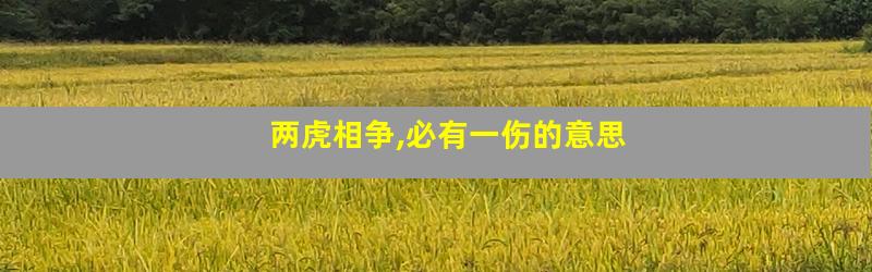 两虎相争,必有一伤的意思