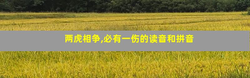 两虎相争,必有一伤的读音和拼音