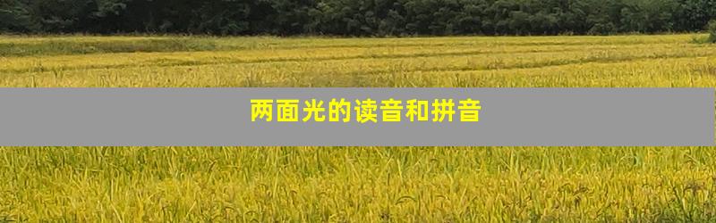 两面光的读音和拼音