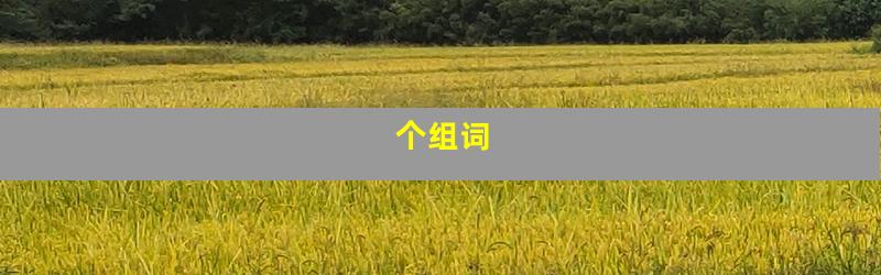 个组词