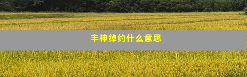 丰神绰约什么意思
