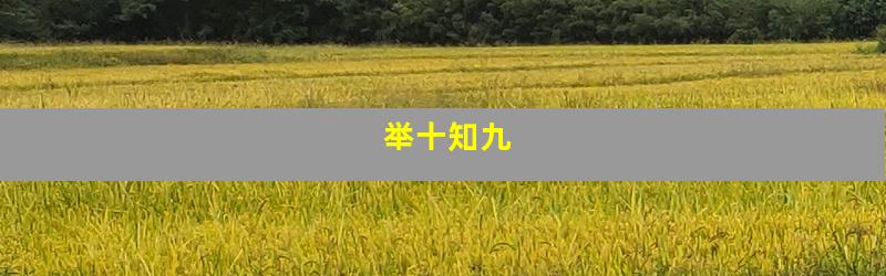 举十知九