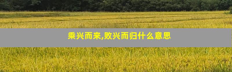 乘兴而来,败兴而归什么意思