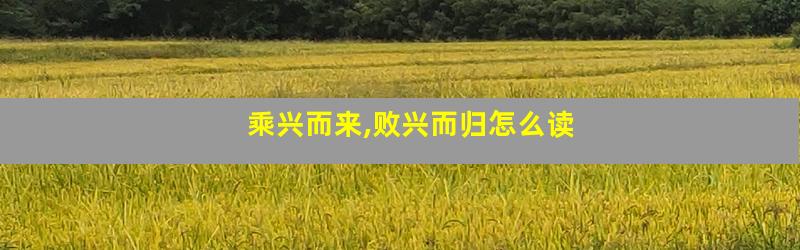 乘兴而来,败兴而归怎么读