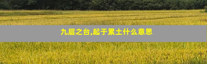 九层之台,起于累土什么意思
