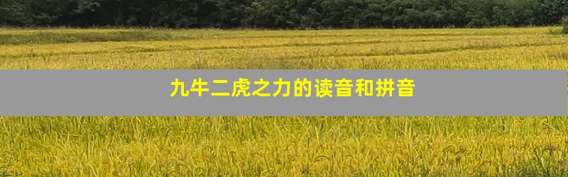 九牛二虎之力的读音和拼音