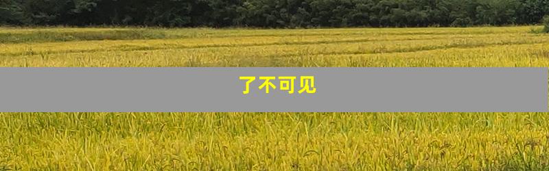 了不可见