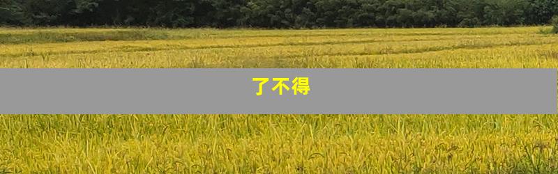 了不得