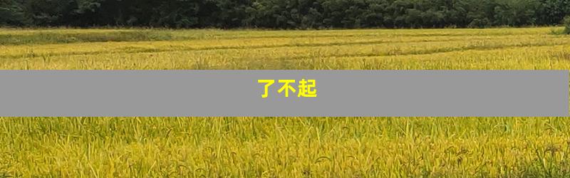 了不起