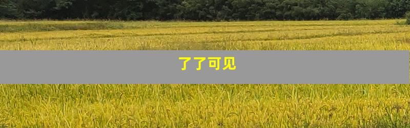 了了可见