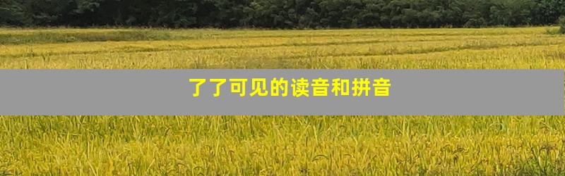 了了可见的读音和拼音
