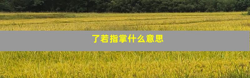 了若指掌什么意思