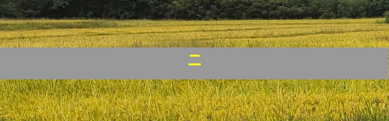 二