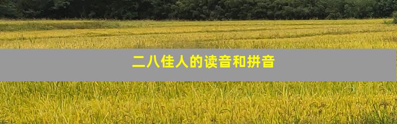 二八佳人的读音和拼音