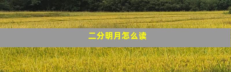 二分明月怎么读