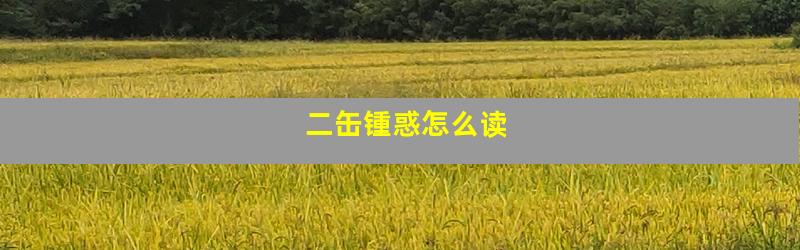 二缶锺惑怎么读