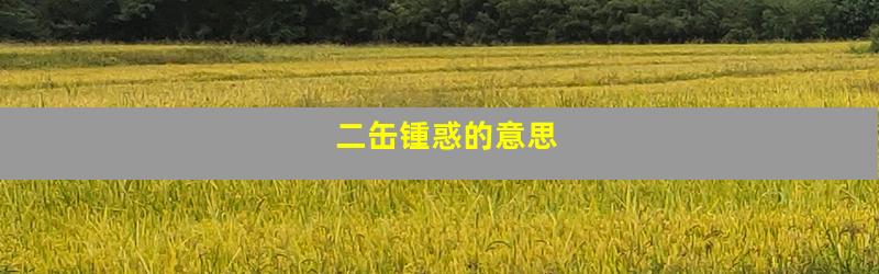二缶锺惑的意思