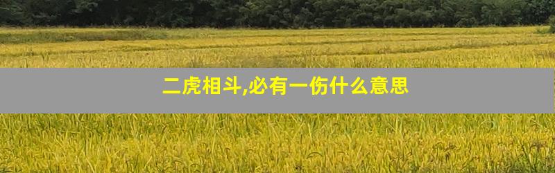 二虎相斗,必有一伤什么意思