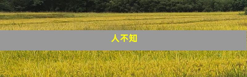 人不知