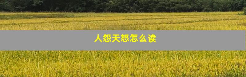人怨天怒怎么读