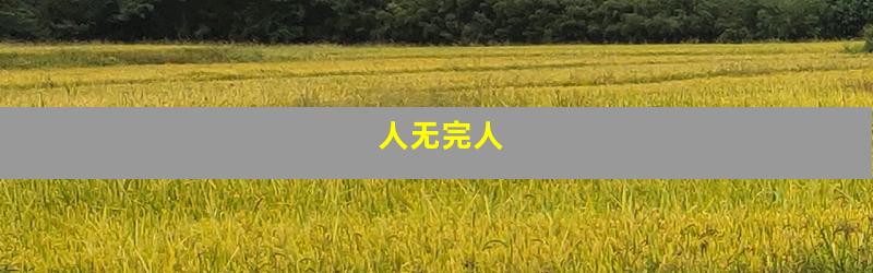 人无完人