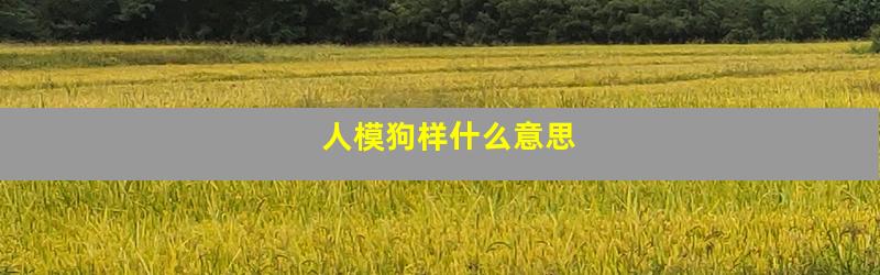 人模狗样什么意思