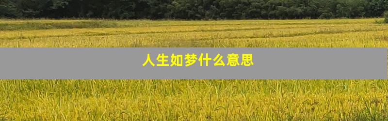 人生如梦什么意思