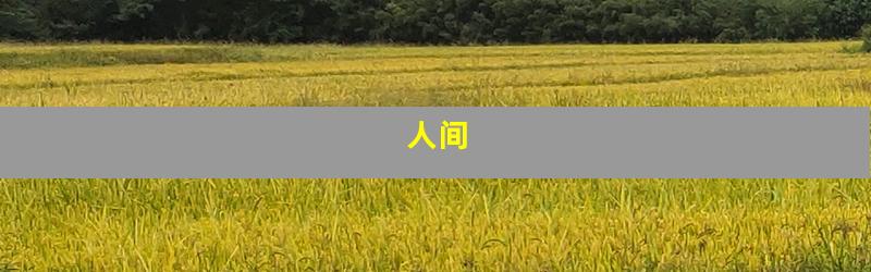 人间