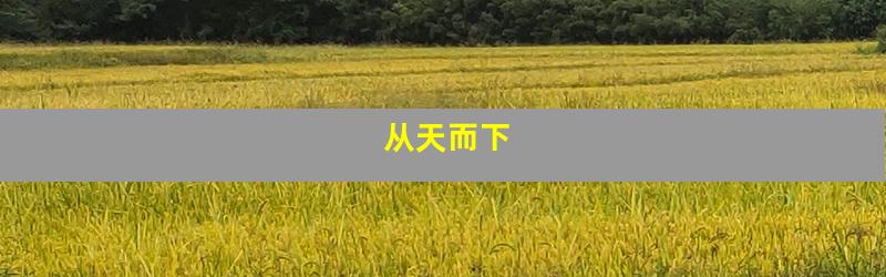 从天而下