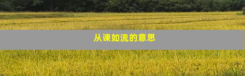 从谏如流的意思