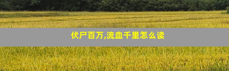 伏尸百万,流血千里怎么读