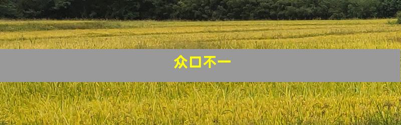众口不一