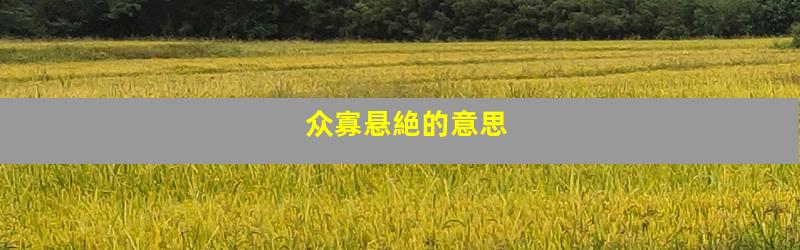 众寡悬絶的意思