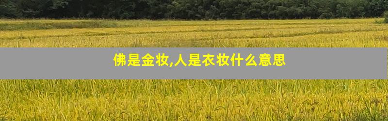 佛是金妆,人是衣妆什么意思