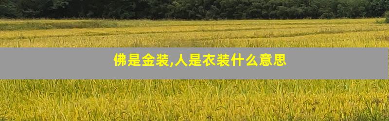 佛是金装,人是衣装什么意思