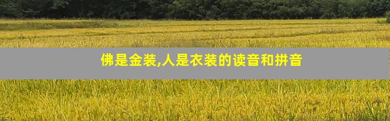 佛是金装,人是衣装的读音和拼音