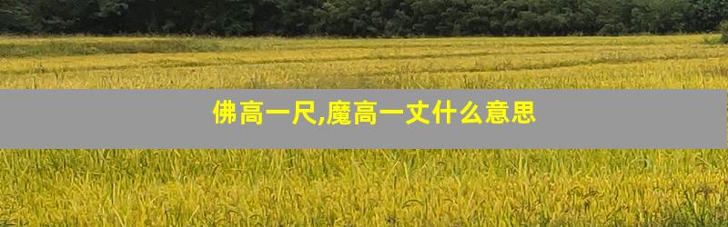 佛高一尺,魔高一丈什么意思