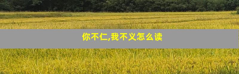 你不仁,我不义怎么读